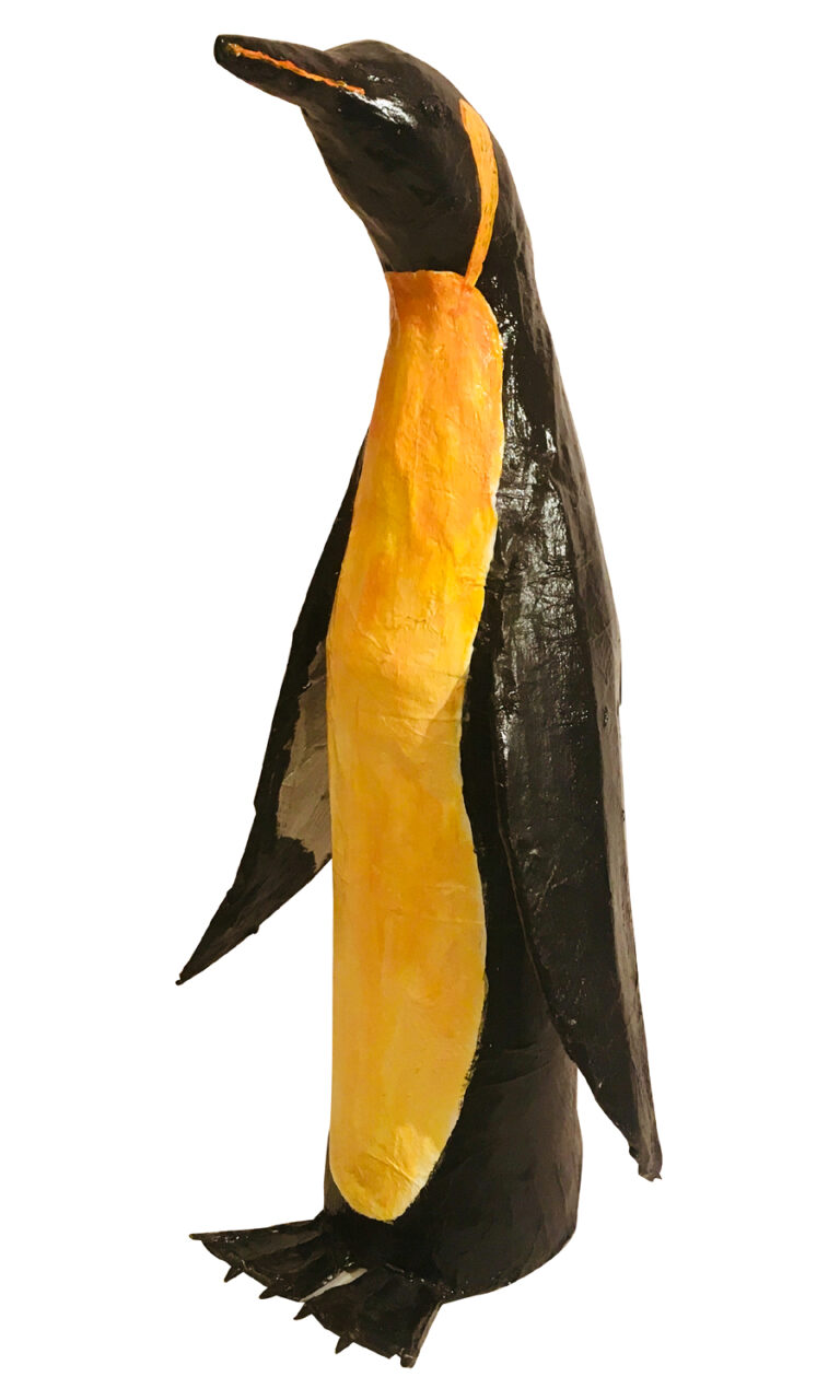 Visitor From The North